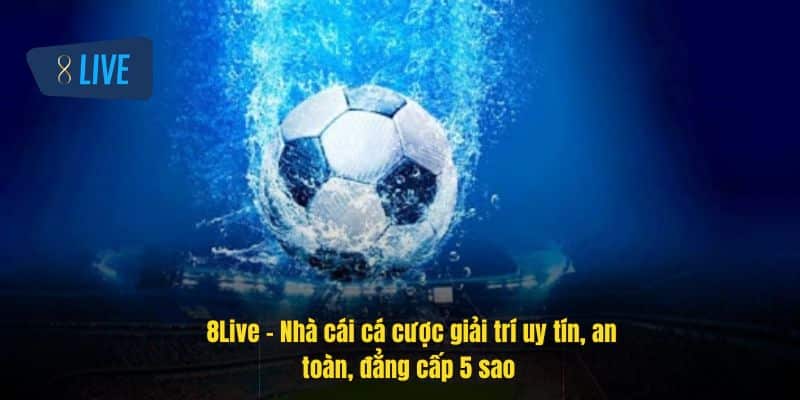 Trang chủ 8Live - Đăng ký đăng nhập link truy cập mới nhất 45 8Live - Nhà cái cá cược giải trí uy tín, an toàn, đẳng cấp 5 sao