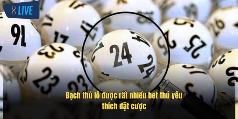 Bạch Thủ Lô Là Gì? Share Cách Chơi Hiệu Quả Tại 8Live 2 bach-thu-lo-duoc-rat-nhieu-bet-thu-yeu-thich-dat-cuoc