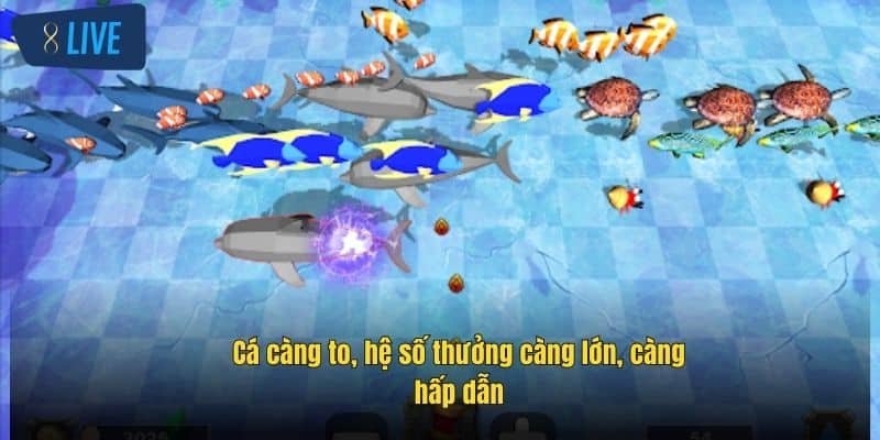 Bắn Cá 3D – Thách Thức Đại Dương, Săn Thưởng Cực Lớn 3 ca-cang-to-he-so-thuong-cang-lon-cang-hap-dan