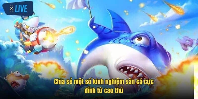 Bắn Cá Online Vip - Trải Nghiệm Săn Thưởng Cực Đỉnh Tại 8Live 4 chia-se-mot-so-kinh-nghiem-san-ca-cuc-dinh-tu-cao-thu