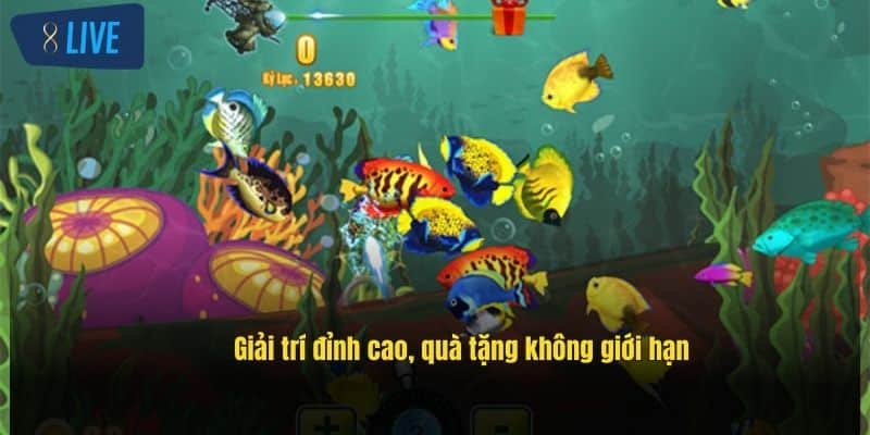 Bắn Cá 8Live – Săn Thưởng Cực Đỉnh, Đổi Quà Siêu Hấp Dẫn 4 giai-tri-dinh-cao-qua-tang-khong-gioi-han