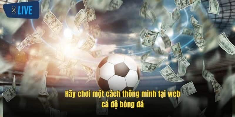 Web Cá Độ Bóng Đá Uy Tín 8Live – Cách Chơi, Kèo Cược, Mẹo Hay 4 hay-choi-mot-cach-thong-minh-tai-web-ca-do-bong-da