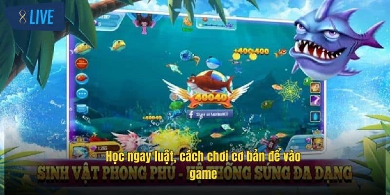 Bắn Cá Online Vip - Trải Nghiệm Săn Thưởng Cực Đỉnh Tại 8Live 3 hoc-ngay-luat-cach-choi-co-ban-de-vao-game