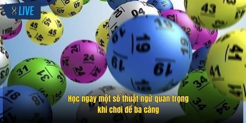 Lô Ba Càng 8Live – Bí Quyết Chơi Hiệu Quả, Thắng Lớn 3 hoc-ngay-mot-so-thuat-ngu-quan-trong-khi-choi-de-ba-cang