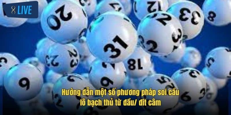 Bạch Thủ Lô Là Gì? Share Cách Chơi Hiệu Quả Tại 8Live 3 huong-dan-mot-so-phuong-phap-soi-cau-lo-bach-thu-tu-dau-dit-cam