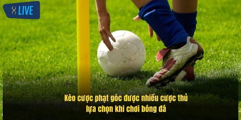 Kèo Phạt Góc: Cách Chơi Hiệu Quả, Chiến Lược Hay Nhất 8Live 2 keo-cuoc-phat-goc-duoc-nhieu-cuoc-thu-lua-chon-khi-choi-bong-da