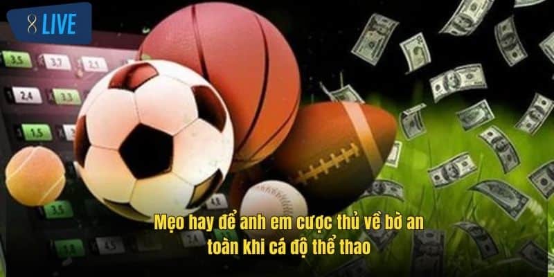 Cá Độ Bóng Đá Qua Mạng – Cách Chơi Hiệu Quả Tại 8Live 4 meo-hay-de-anh-em-cuoc-thu-ve-bo-an-toan-khi-ca-do-the-thao
