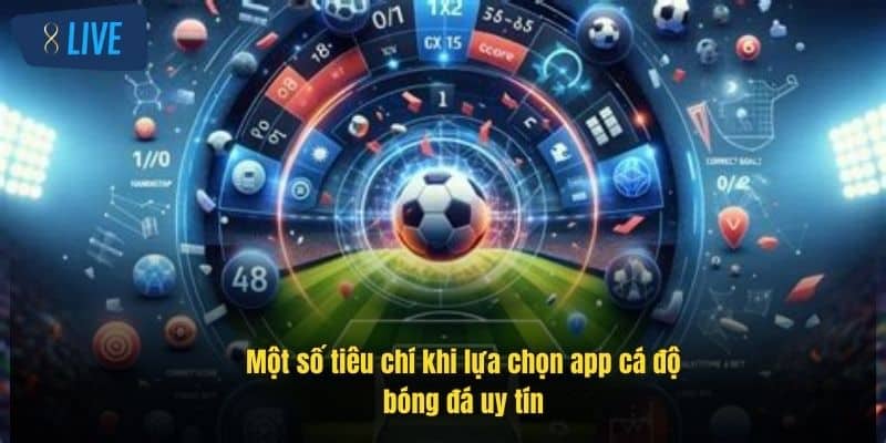 App Cá Độ Bóng Đá Uy Tín - Trải Nghiệm 8Live Cực Đỉnh 2 mot-so-tieu-chi-khi-lua-chon-app-ca-do-bong-da-uy-tin