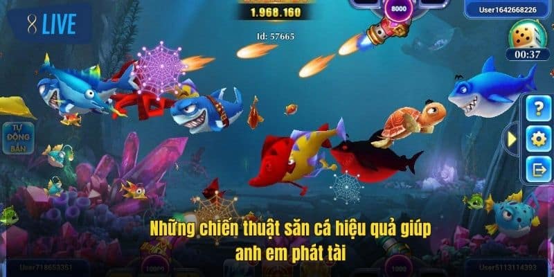 Bắn Cá 3D – Thách Thức Đại Dương, Săn Thưởng Cực Lớn 4 nhung-chien-thuat-san-ca-hieu-qua-giup-anh-em-phat-tai