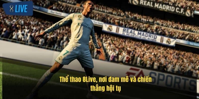 Thể Thao 8Live – Sân Chơi Cá Cược Đỉnh Cao Dành Cho Bạn 4 the-thao-8live-noi-dam-me-va-chien-thang-hoi-tu